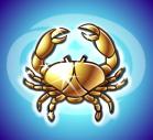 Cancer Crab